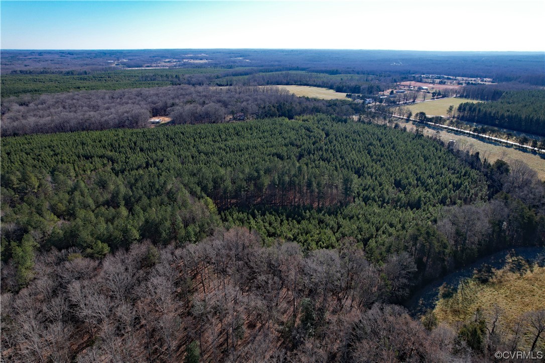 Lot 1 Plank Road Dillwyn, VA 23936 - Photo 7 of 19 a view of a lush green forest with lots of trees