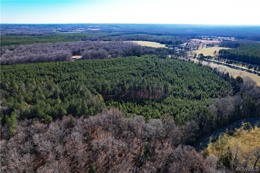 Lot 1 Plank Road Dillwyn, VA 23936 - Photo 8 of 19 a view of a lush green forest with lots of trees