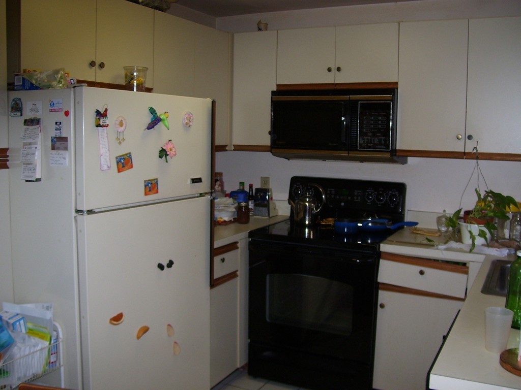 33 Victoria Heights Road, Unit 33 Boston, MA 02136 - Photo 5 of 8 Gallery Image 5