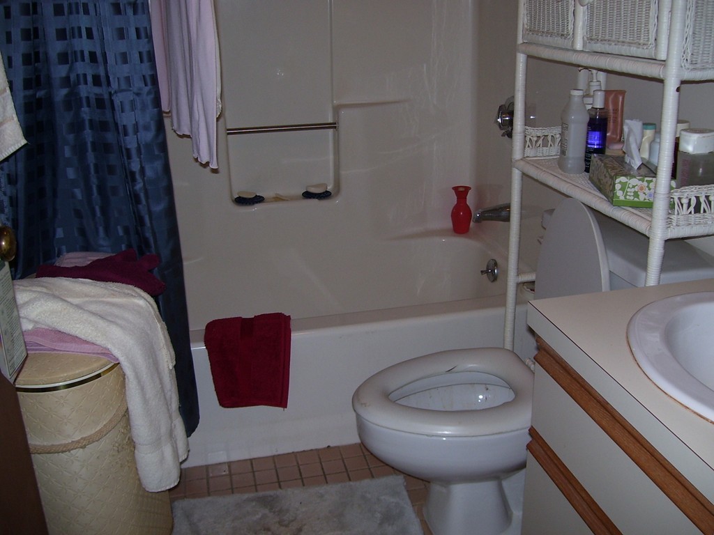 33 Victoria Heights Road, Unit 33 Boston, MA 02136 - Photo 7 of 8 Gallery Image 7