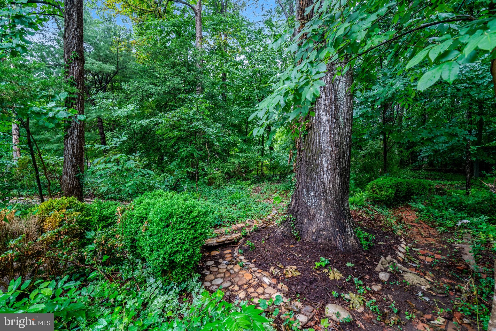 8304 Five Gates Road Annandale, VA 22003 - Photo 87 of 91