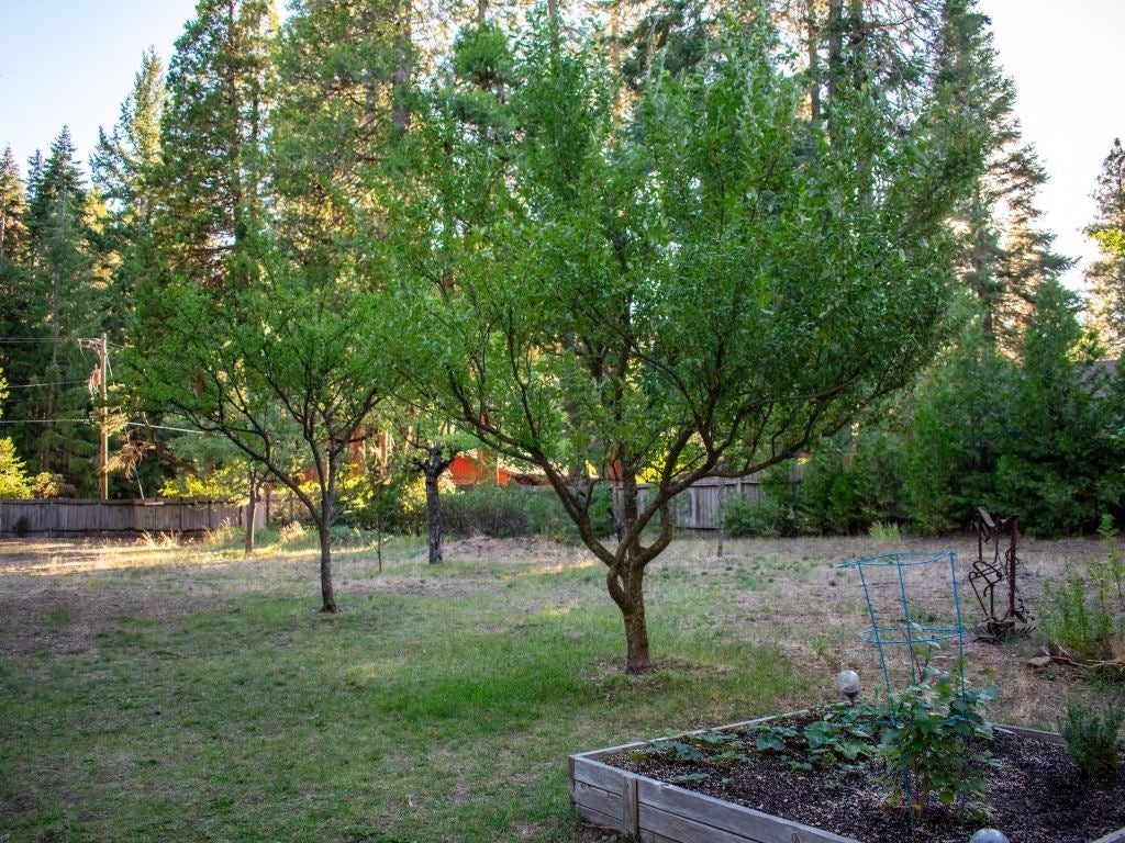 935 Davis Place Road Mount Shasta, CA 96067 - Photo 40 of 41 Gallery Image 40