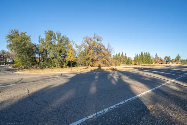 a view of road and view of trees