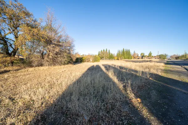 a view of yard with large trees