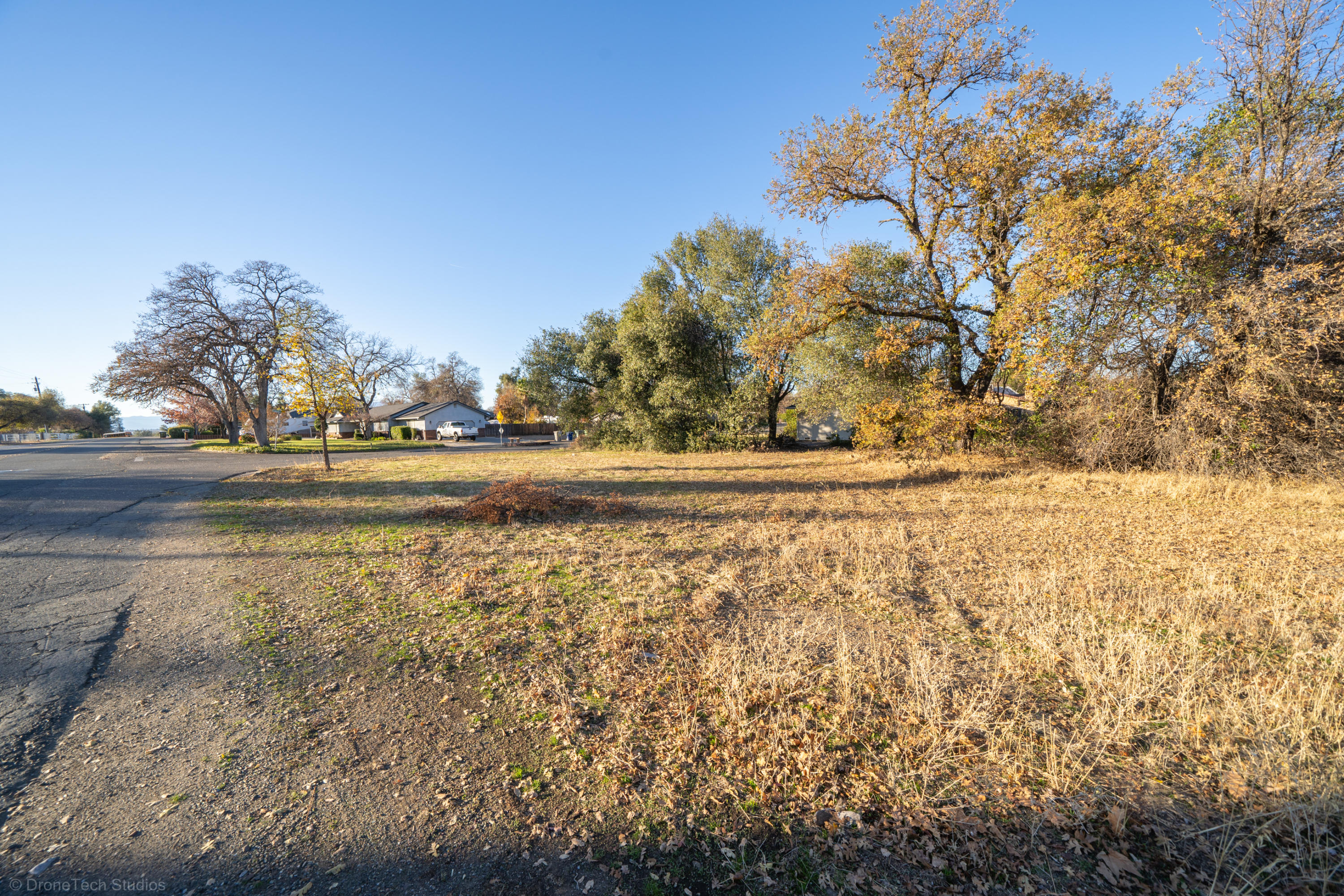 7587 Fiesta Way Redding, CA 96002 - Photo 6 of 9 a view of yard with large trees