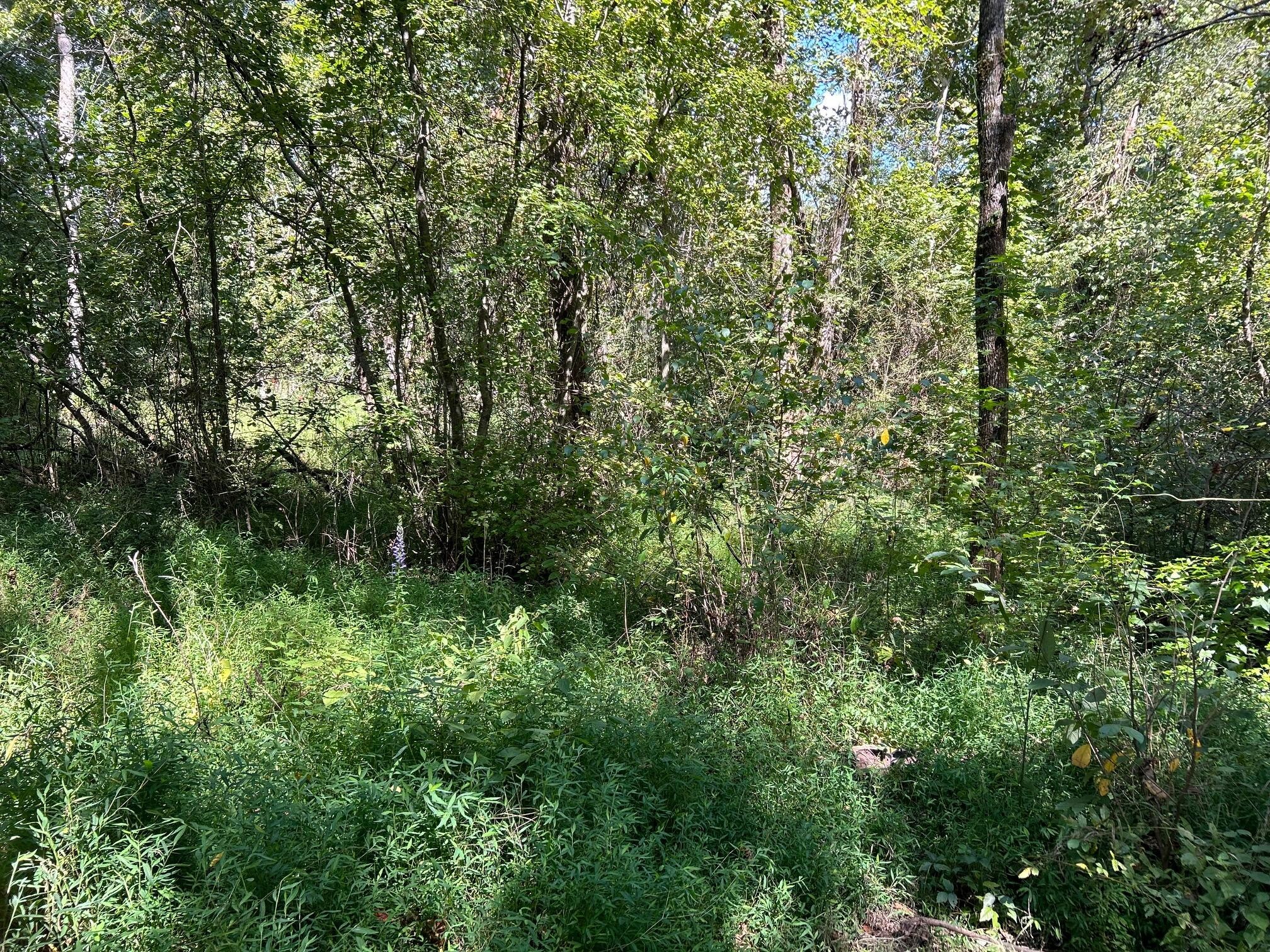 684 Cuno Lane Decatur, TN 37322 - Photo 25 of 25