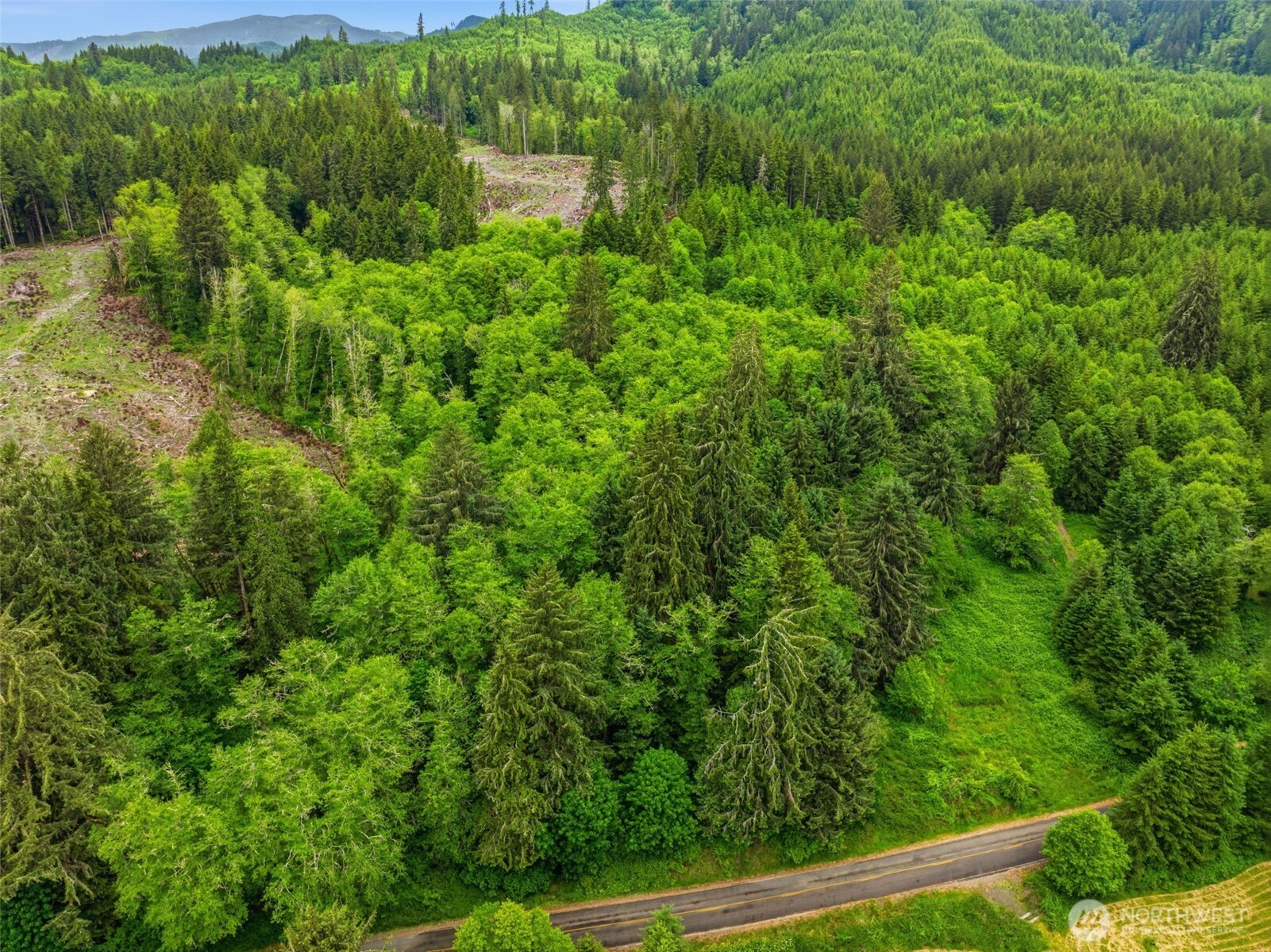 0 East Valley Road Skamokawa, WA 98647 - Photo 11 of 15