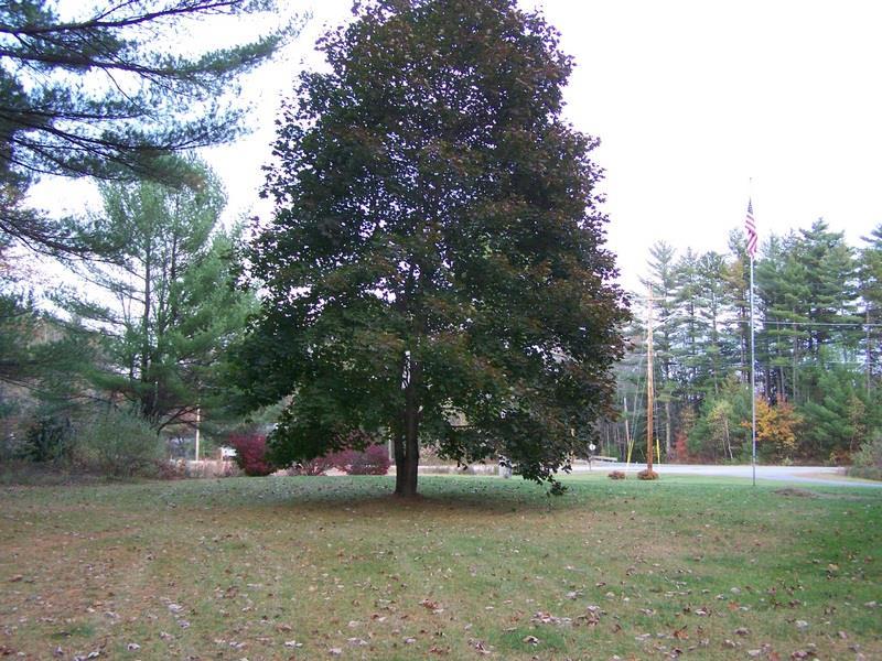 80 West Lebanon Road Lebanon, ME 04027 - Photo 18 of 19 Side yard