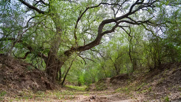 $1,500,000 | 1251 County Road 210, Falls City, TX 78113