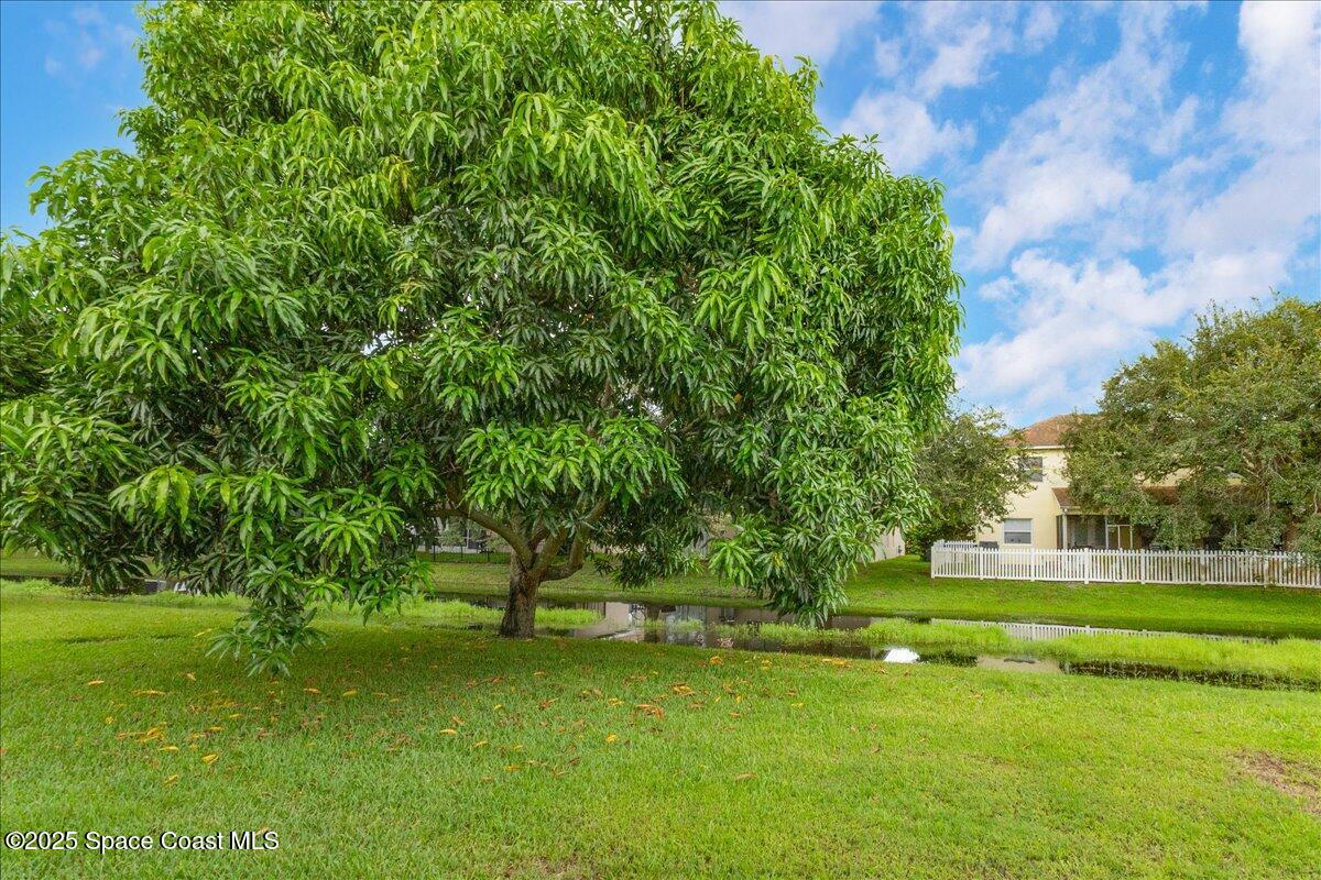 948 Pelican Lane Rockledge, FL 32955 - Photo 7 of 38 a view of a golf course