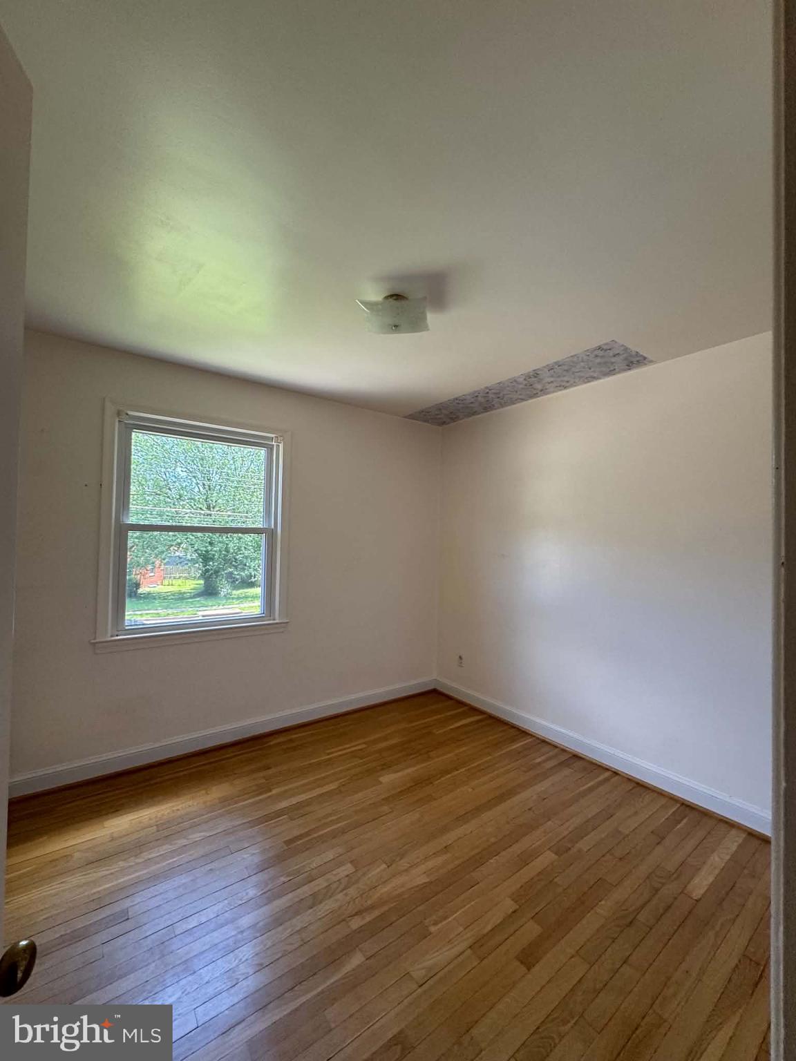 5313 Easton Drive Springfield, VA 22151 - Photo 5 of 13