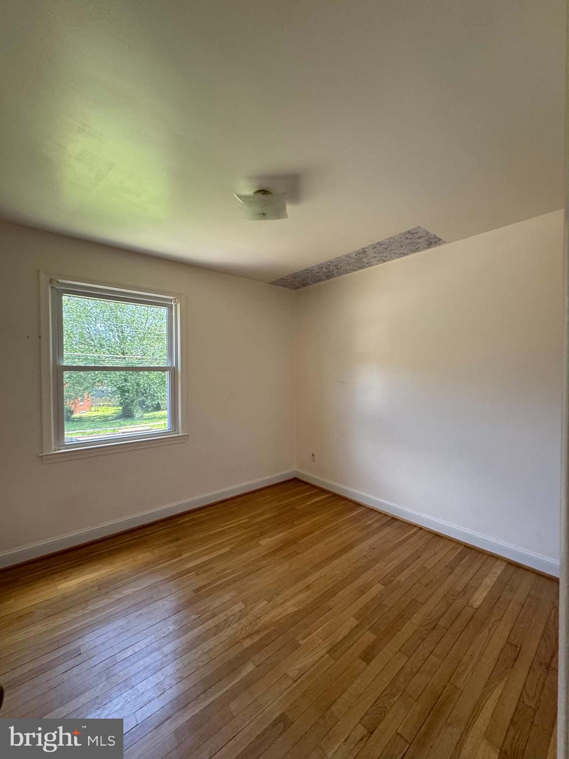 5313 Easton Drive Springfield, VA 22151 - Photo 8 of 13