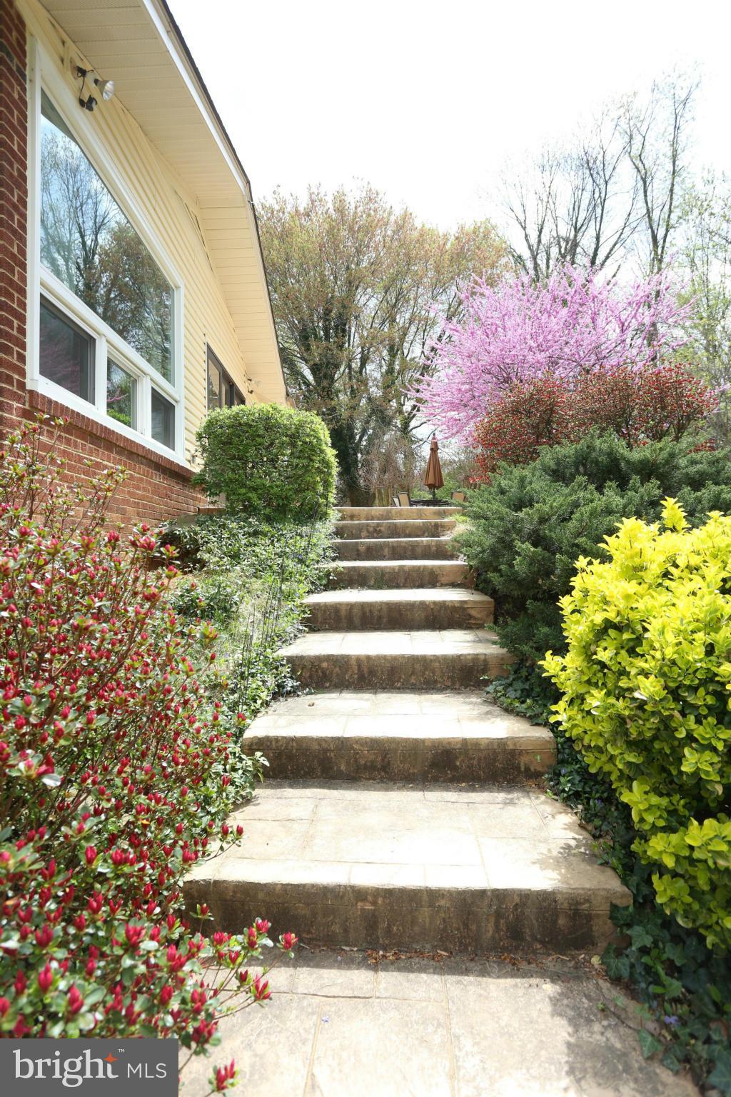 10124 Cornwall Road Fairfax, VA 22030 - Photo 29 of 30 Exterior (General)