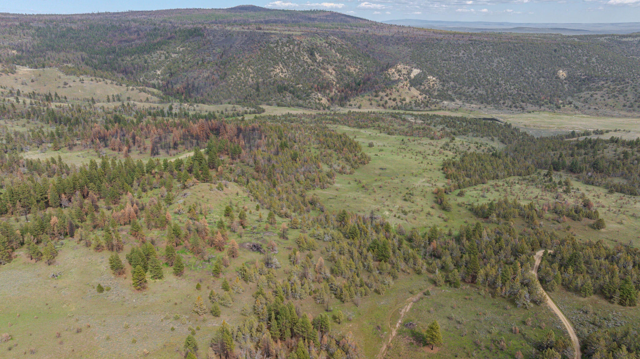 41225 Van Lake Road Prineville, OR 97754 - Photo 169 of 181 DJI_20260430154032_0322_D-HDR