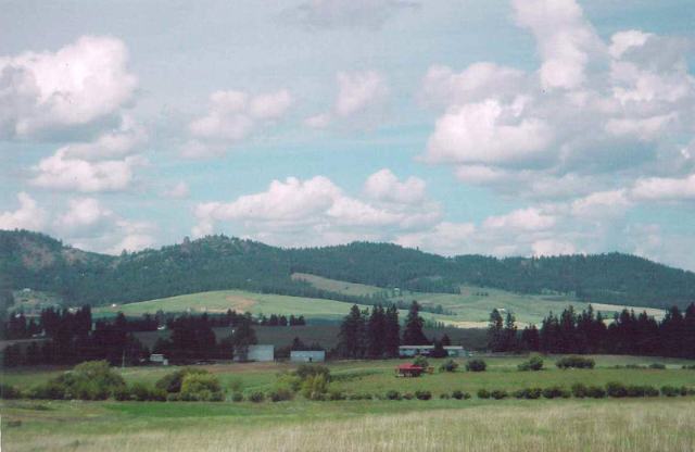0 East Paradise Road Valleyford, WA 99036 - Photo 2 of 5