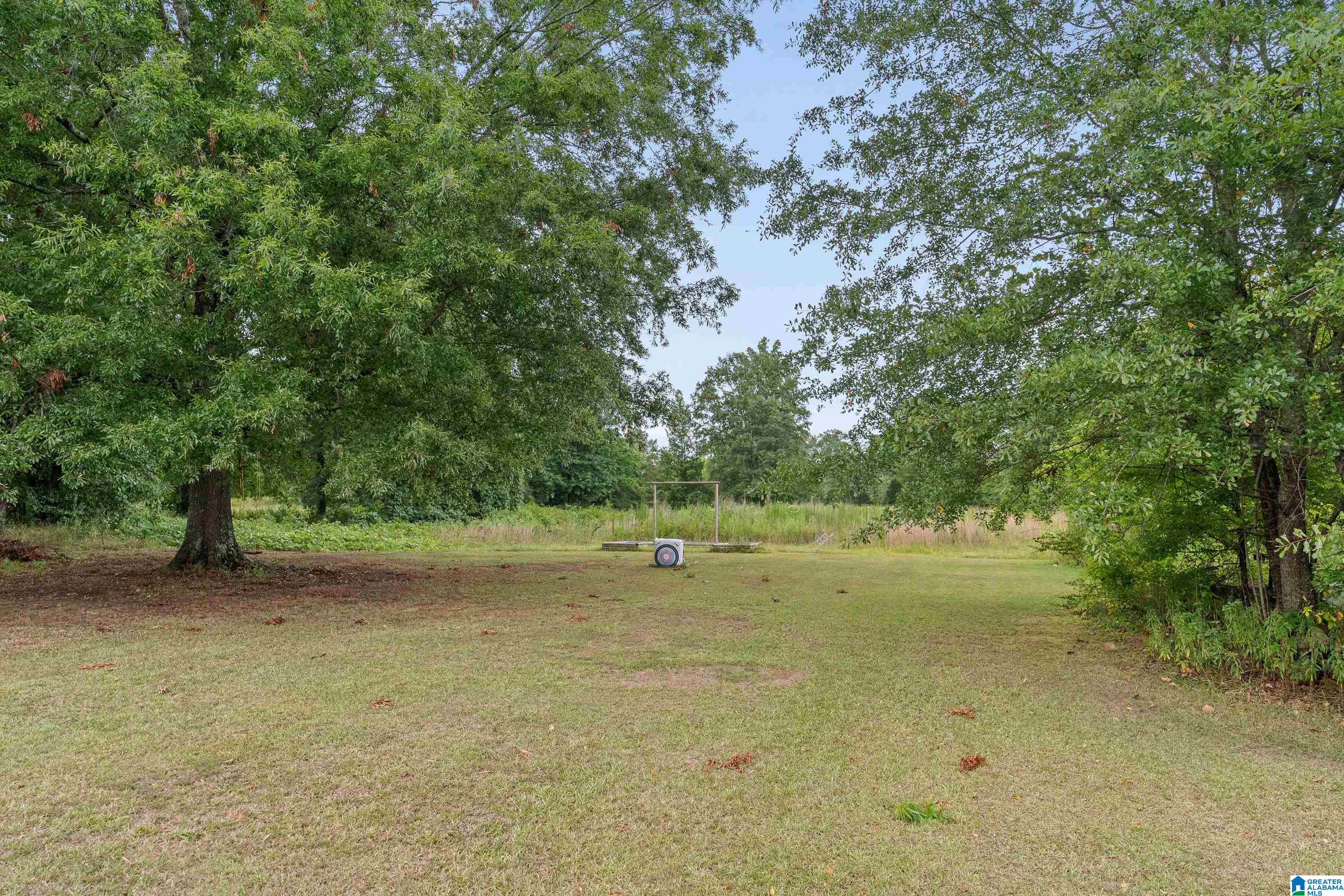 350 Plum Springs Road Lincoln, AL 35096 - Photo 57 of 62