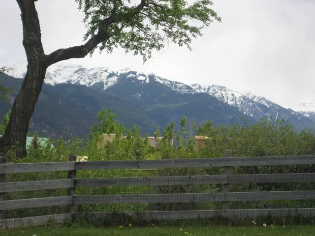 930 Moffat Street Ridgway, CO 81432 - Photo 9 of 11 930 Moffat 012