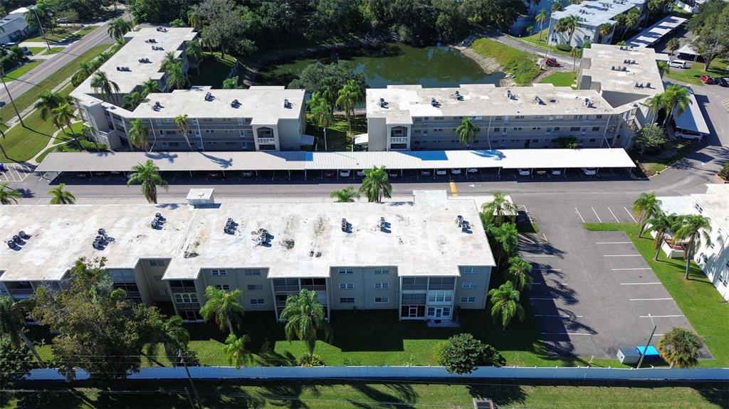 970 Virginia Street, Unit 107 Dunedin, FL 34698 - Photo 11 of 16