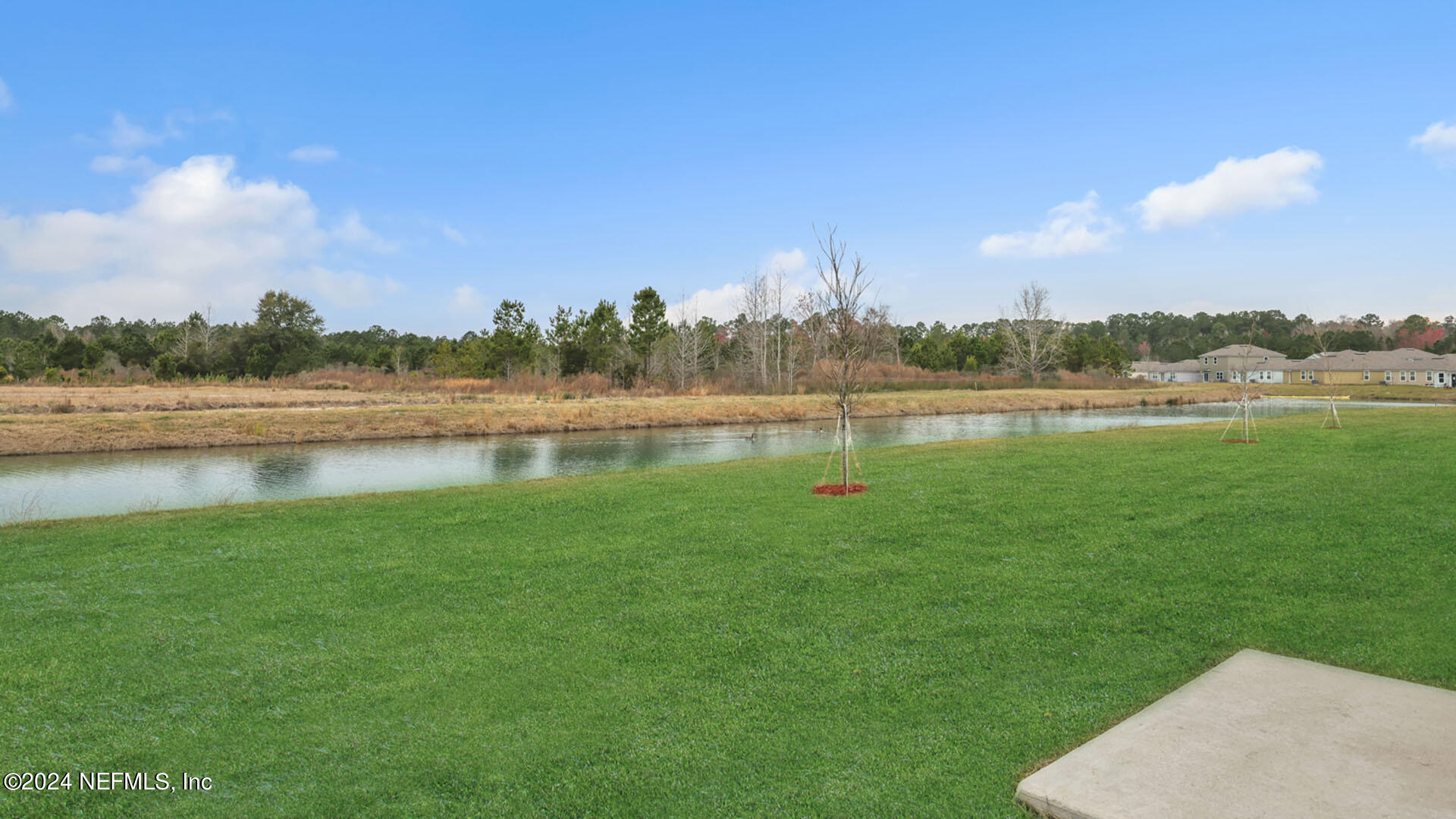 12696 European Beech Road Jacksonville, FL 32218 - Photo 21 of 38 0H3A6632