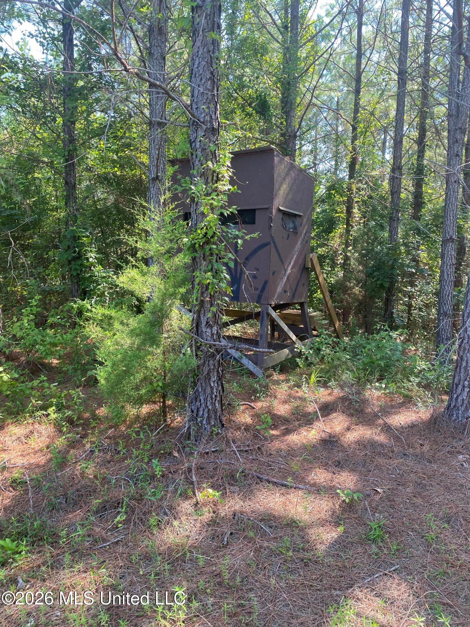 4005 Co Road Goodman, MS 39079 - Photo 10 of 31 IMG_8643