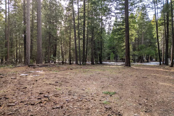 a view of outdoor space with trees