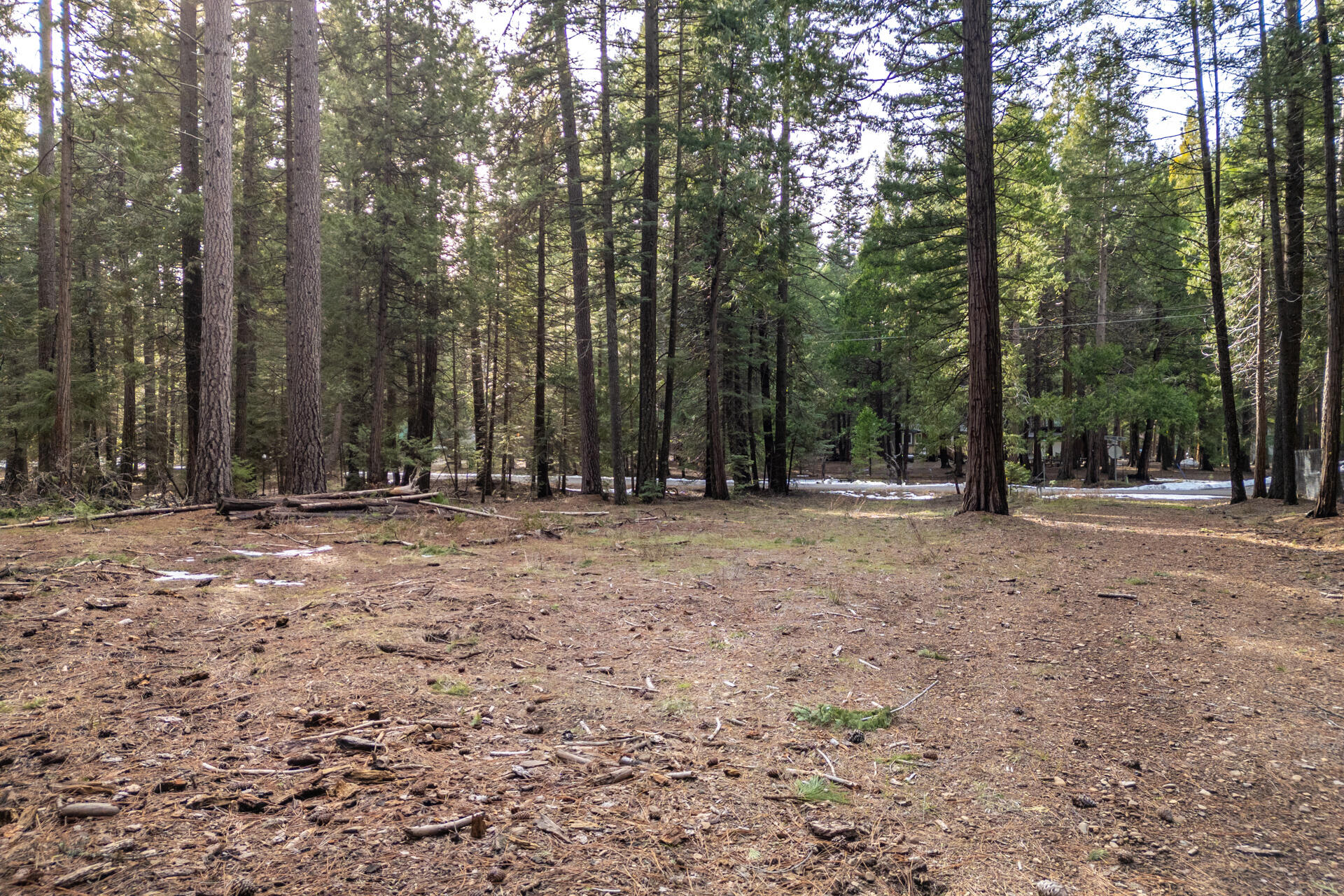 Thatcher Mill Road Shingletown, CA 96088 - Photo 1 of 14 a view of outdoor space with trees