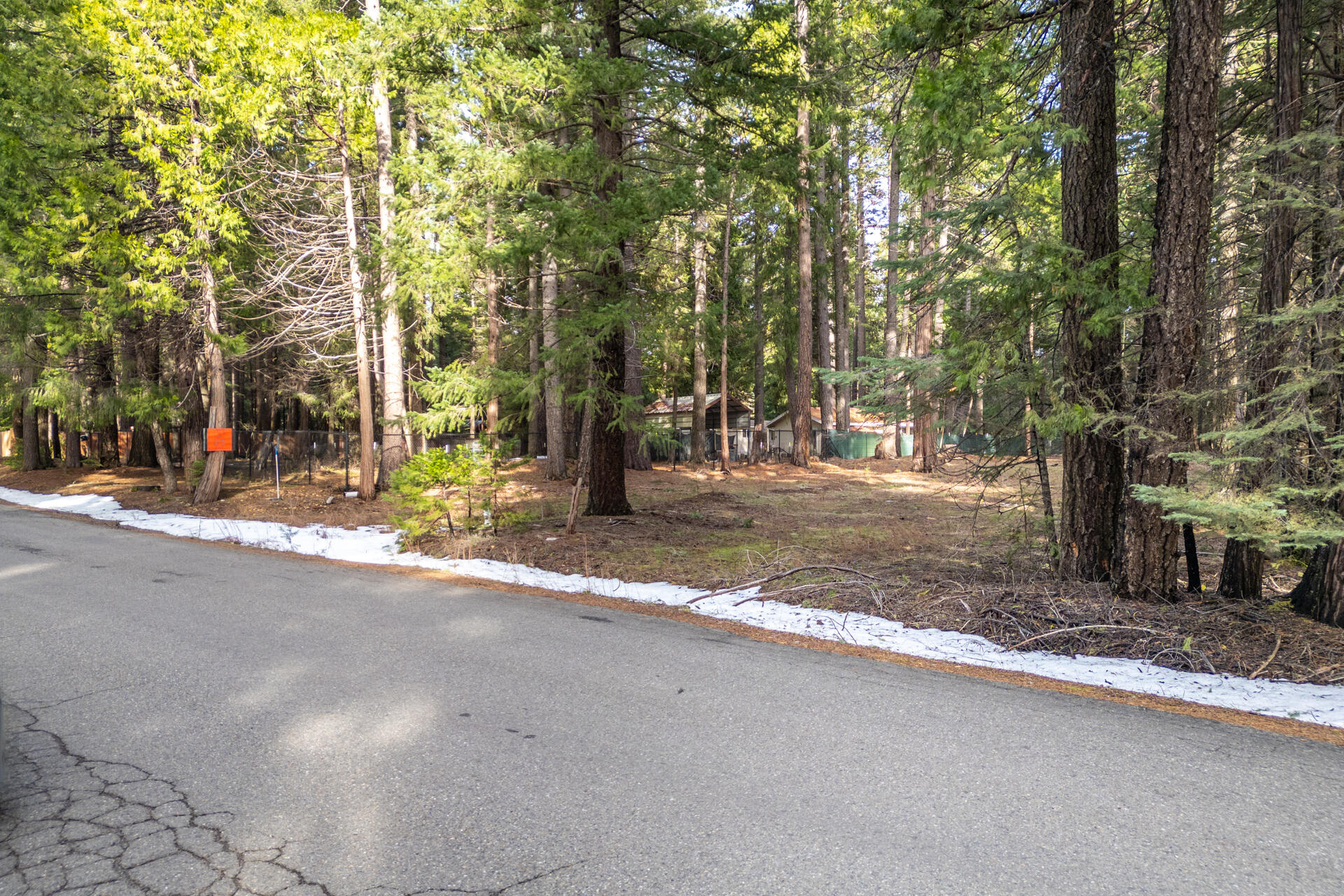 Thatcher Mill Road Shingletown, CA 96088 - Photo 11 of 14 a view of road with trees