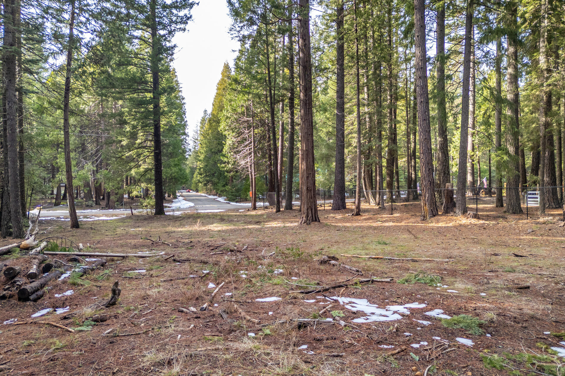 Thatcher Mill Road Shingletown, CA 96088 - Photo 3 of 14 a view of outdoor space with trees