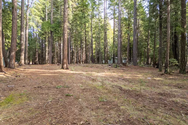 a view of outdoor space with trees