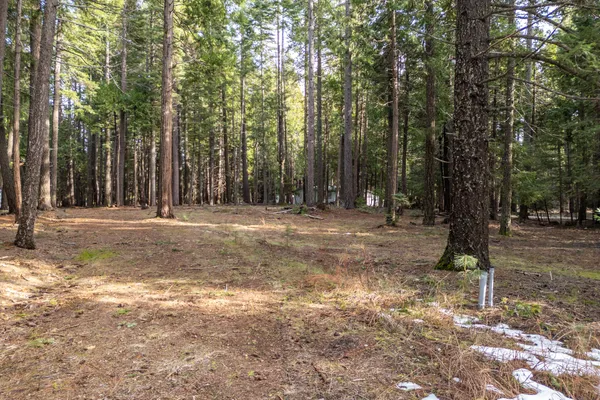 a view of outdoor space with trees