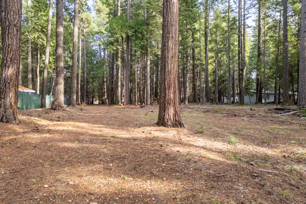 a backyard of a house with lots of green space and fountain