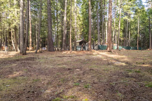 a big yard with trees in the background