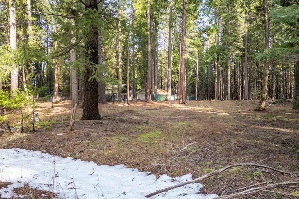 a view of road with trees