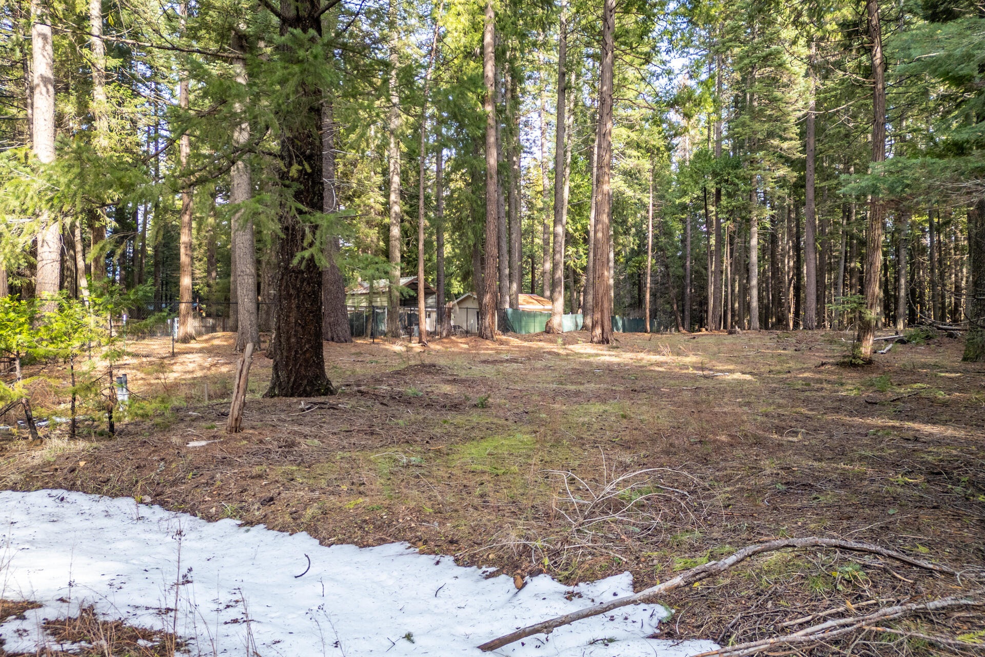 Thatcher Mill Road Shingletown, CA 96088 - Photo 10 of 14 a view of road with trees