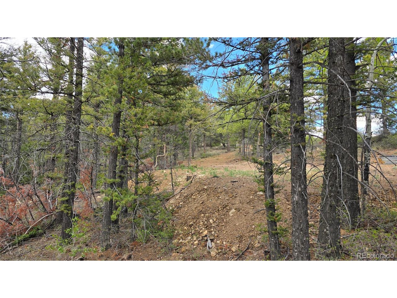 5825 Covington Road San Luis, CO 81152 - Photo 12 of 21 Gallery Image 12