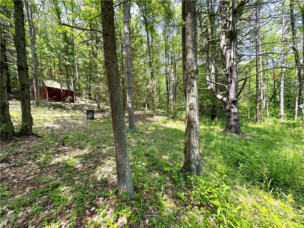 8021 Hickory Hill Road Bath, NY 14810 - Photo 33 of 44