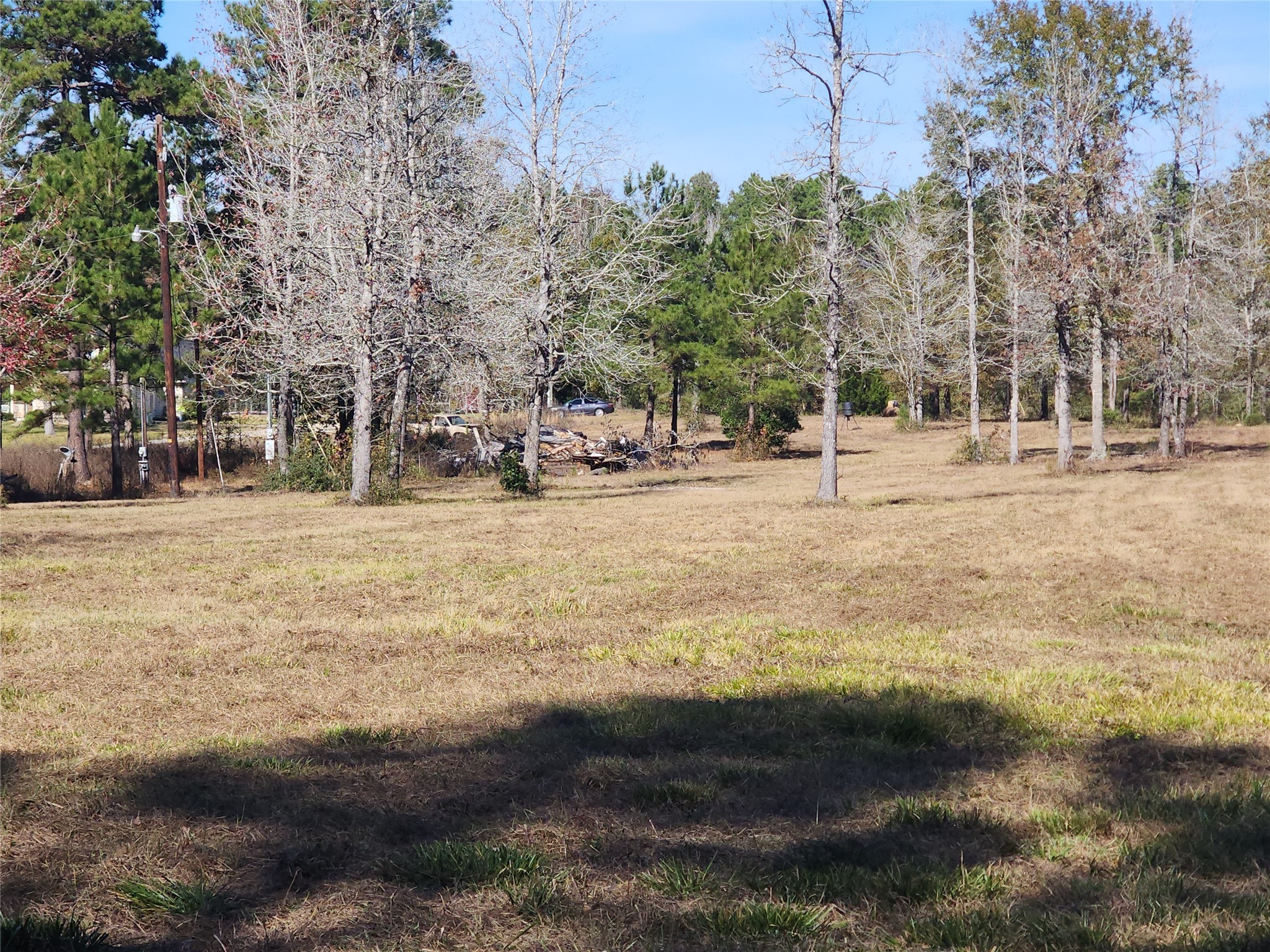 0 Bailey Grove Road Montgomery, TX 77356 - Photo 2 of 10 a view of a yard with trees in the background