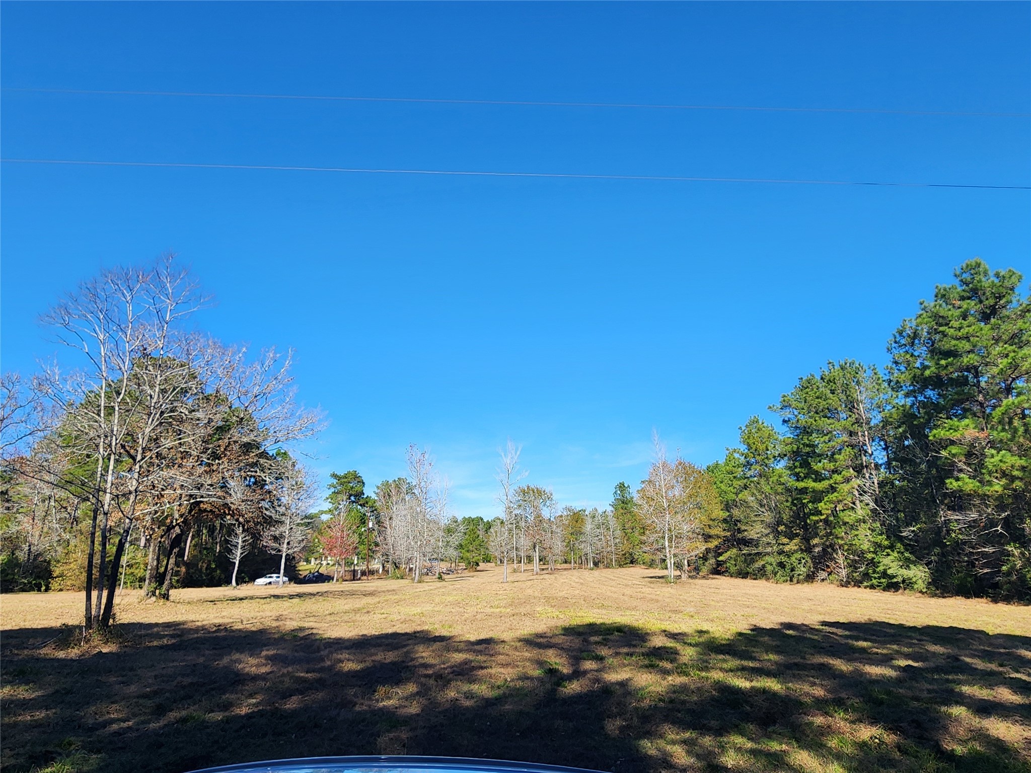 0 Bailey Grove Road Montgomery, TX 77356 - Photo 8 of 10 a view of an outdoor space with yard