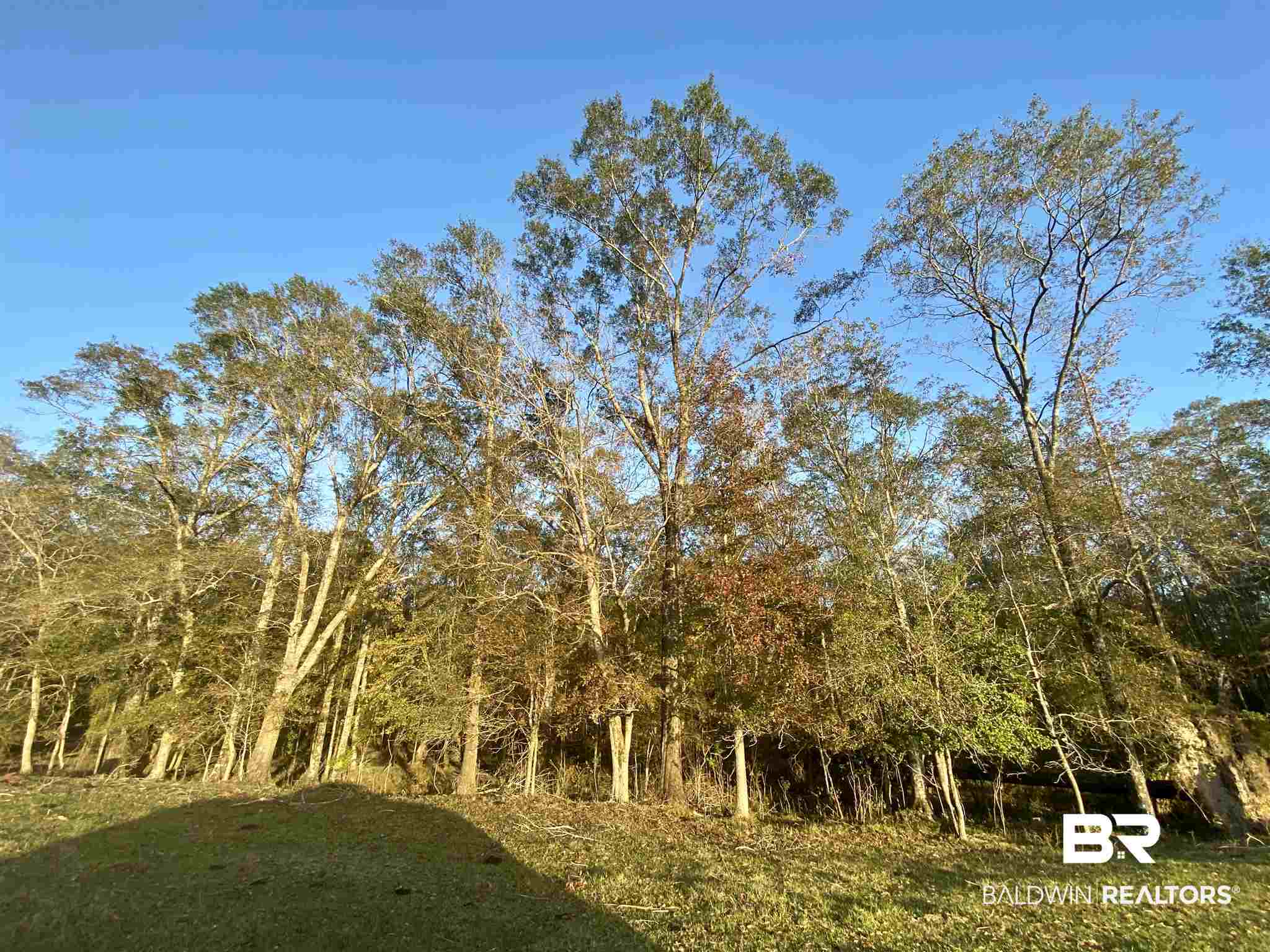 0 Country Road Fruitdale, AL 36539 - Photo 23 of 47