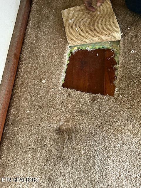 11532 Wilderness Road Ewing, VA 24248 - Photo 18 of 20 Hardwood u