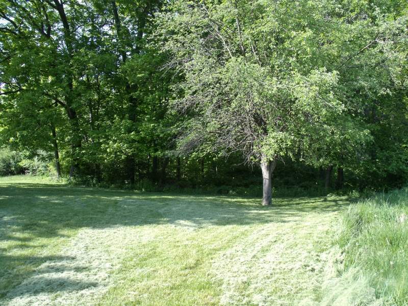 108 Spring Creek Terrace Washington, IL 61571 - Photo 3 of 33