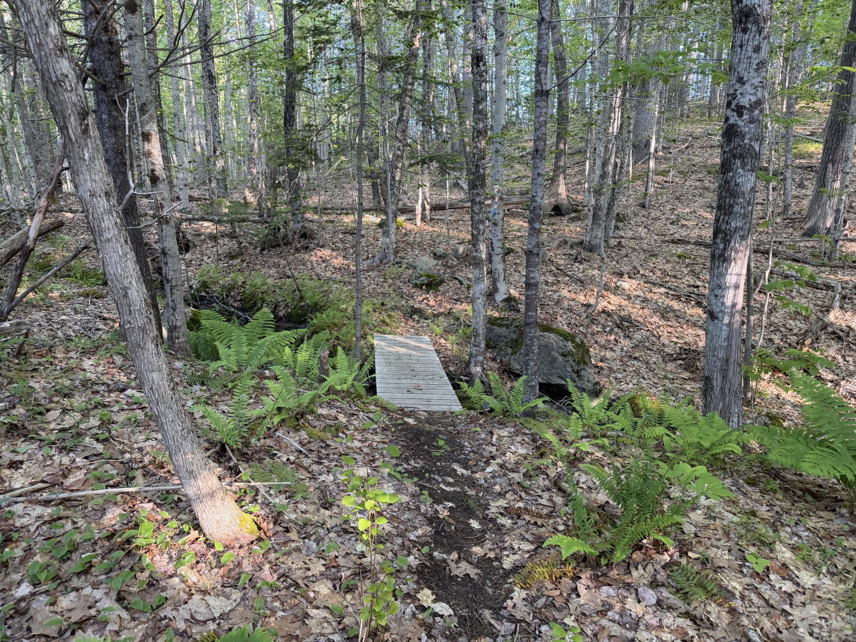 26 Martin Road Alna, ME 04535 - Photo 92 of 101 Trail Bridge