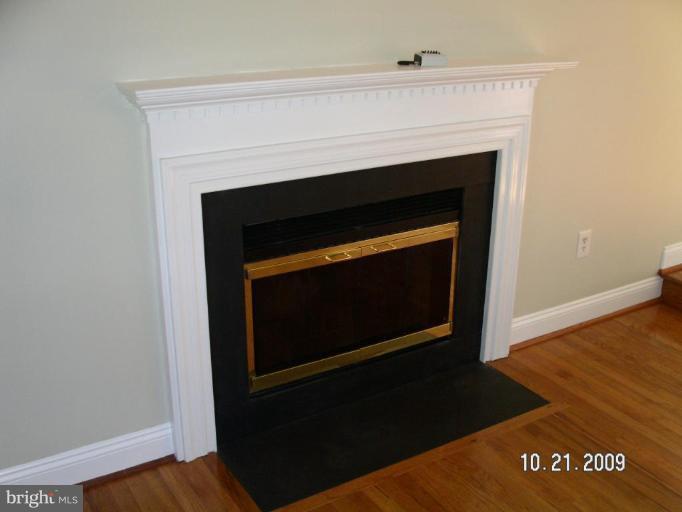 24412 Fossen Road Damascus, MD 20872 - Photo 8 of 20 Fireplace