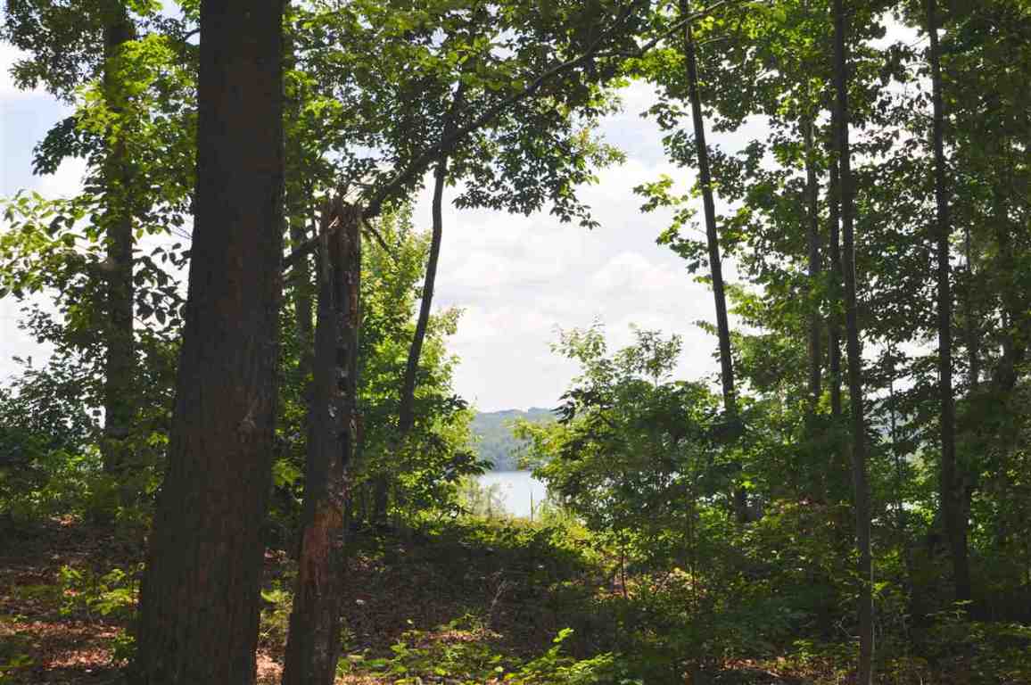 306 East Fort George Way, Unit C 18 Sunset, SC 29685 - Photo 4 of 12 Gallery Image 4