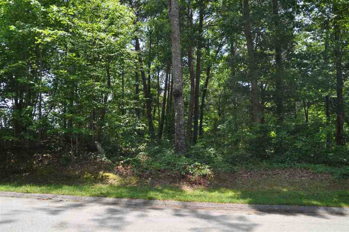 306 East Fort George Way, Unit C 18 Sunset, SC 29685 - Photo 6 of 12 Gallery Image 6