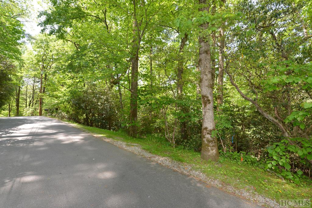 On Cobb Road Highlands, NC 28741 - Photo 2 of 11 Gallery Image 2