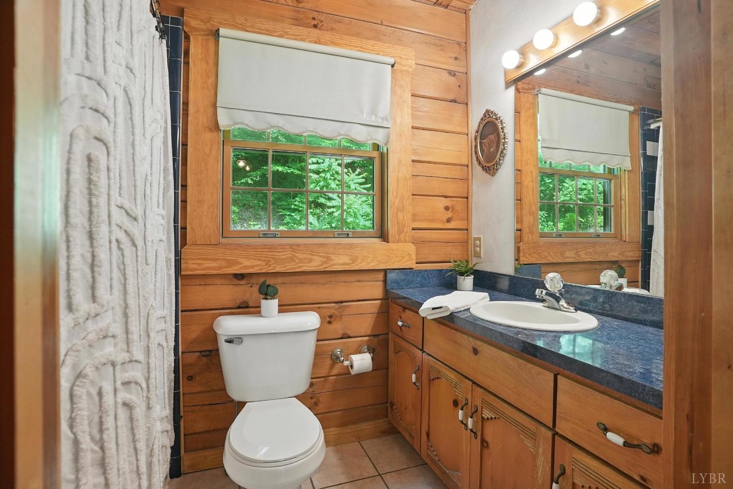 2070 Woodson Road Roseland, VA 22967 - Photo 23 of 76 a bathroom with a granite countertop toilet a sink and a mirror