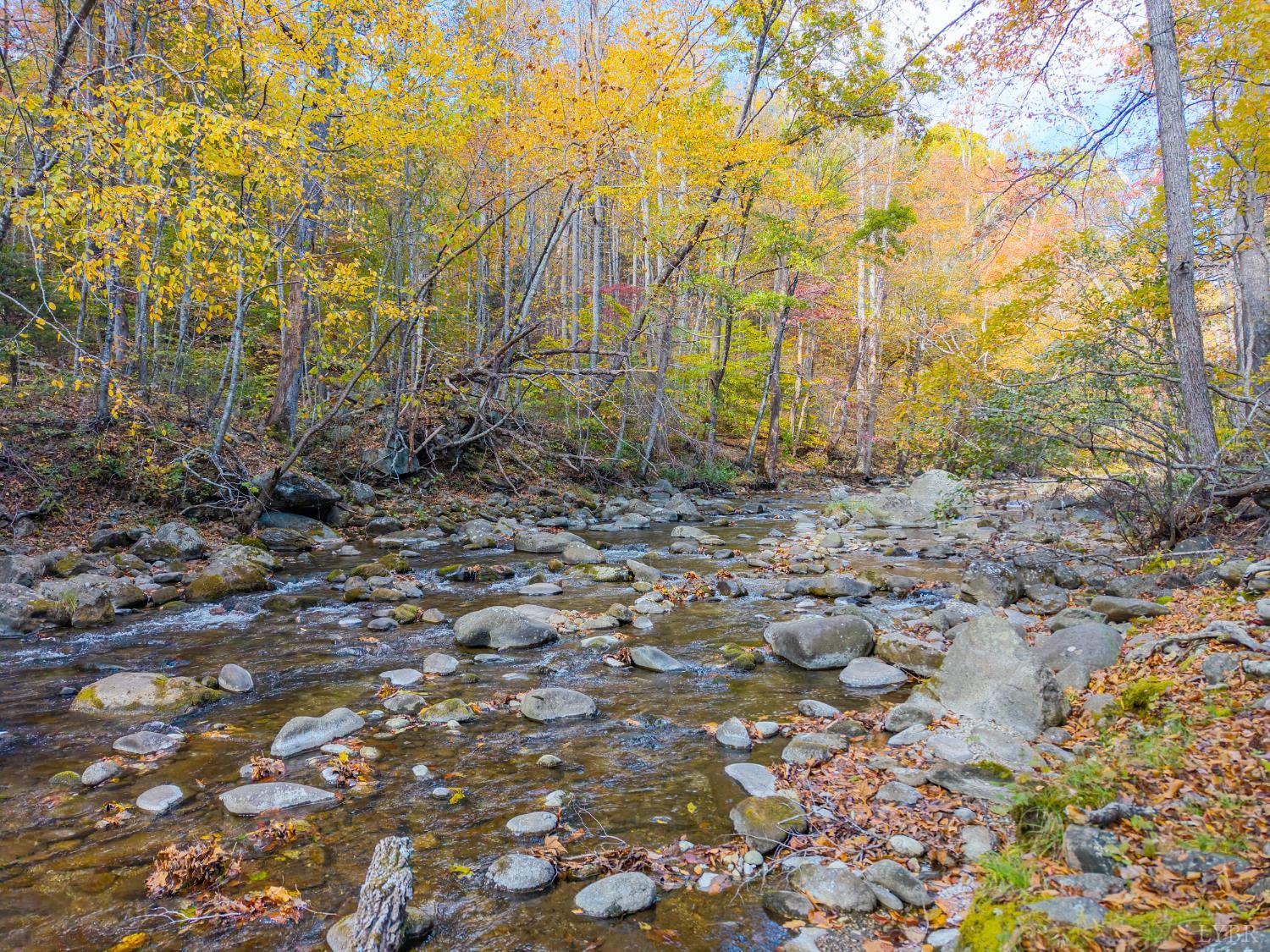 2070 Woodson Road Roseland, VA 22967 - Photo 3 of 76 a backyard of a house with lots of green space