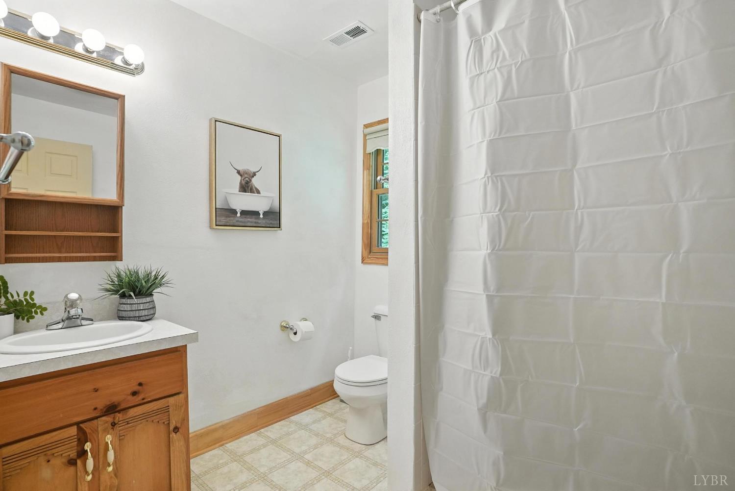 2070 Woodson Road Roseland, VA 22967 - Photo 32 of 76 a bathroom with a granite countertop sink toilet and shower