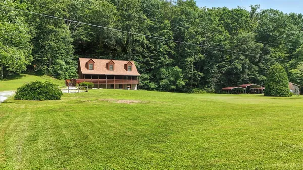 a view of a forest that has a tree